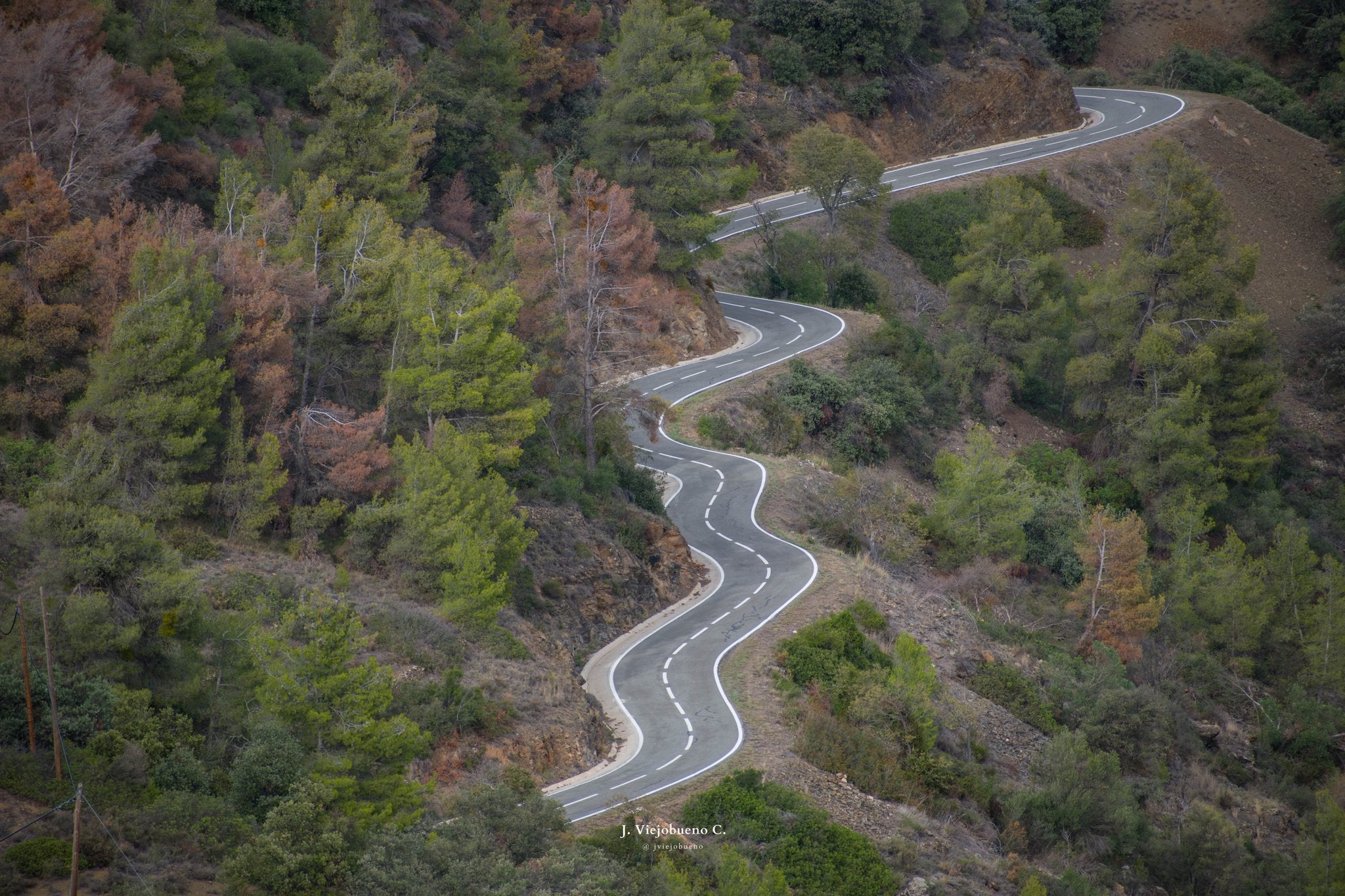 Choosing the Perfect Ride: Factors to Consider for a Cycling Holiday